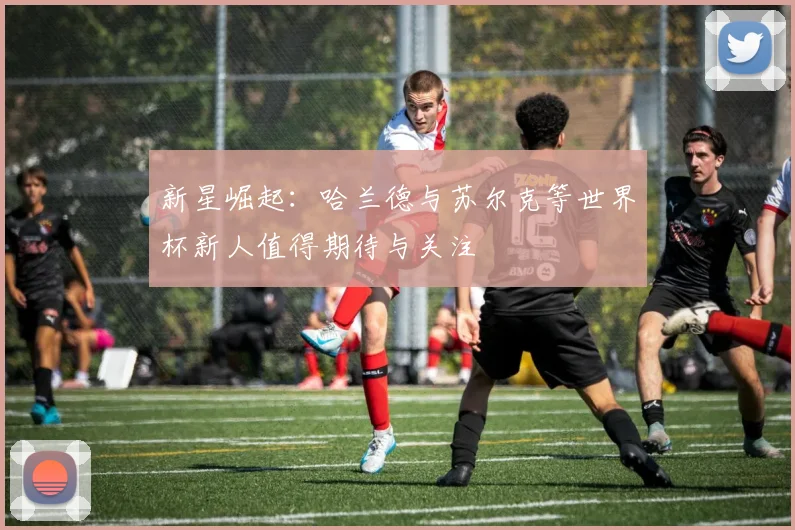 新星崛起：哈兰德与苏尔克等世界杯新人值得期待与关注