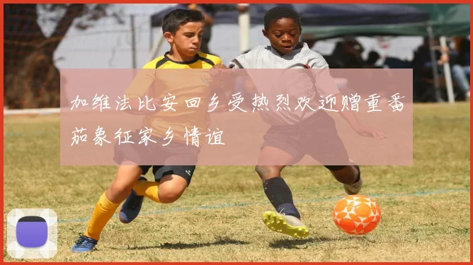 加维法比安回乡受热烈欢迎赠重番茄象征家乡情谊