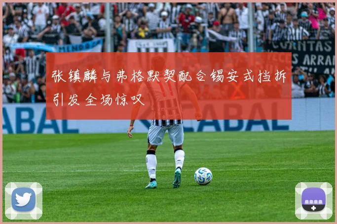 张镇麟与弗格默契配合锡安式挡拆引发全场惊叹