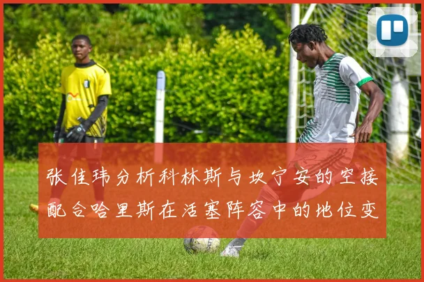 张佳玮分析科林斯与坎宁安的空接配合哈里斯在活塞阵容中的地位变化